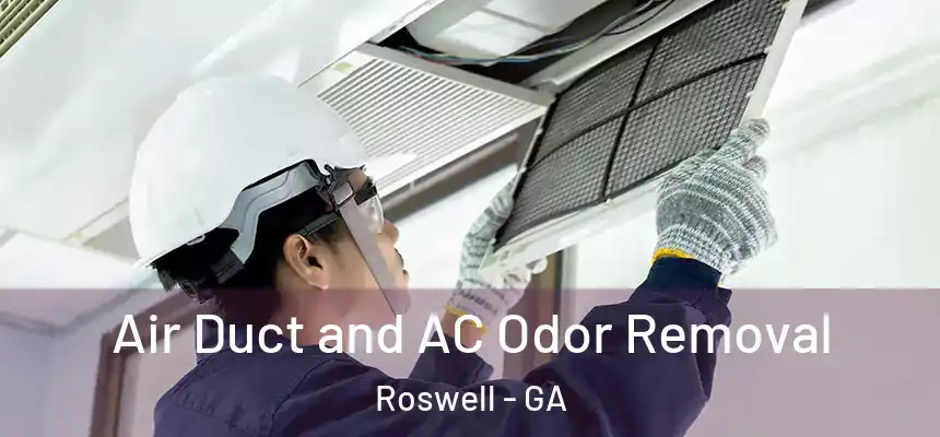Air Duct and AC Odor Removal Roswell - GA