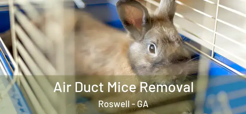 Air Duct Mice Removal Roswell - GA