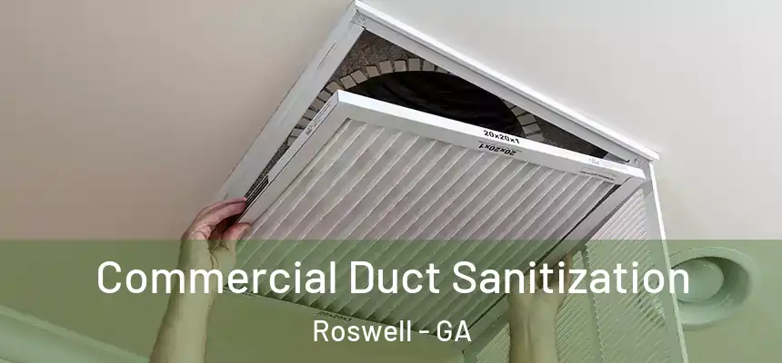 Commercial Duct Sanitization Roswell - GA