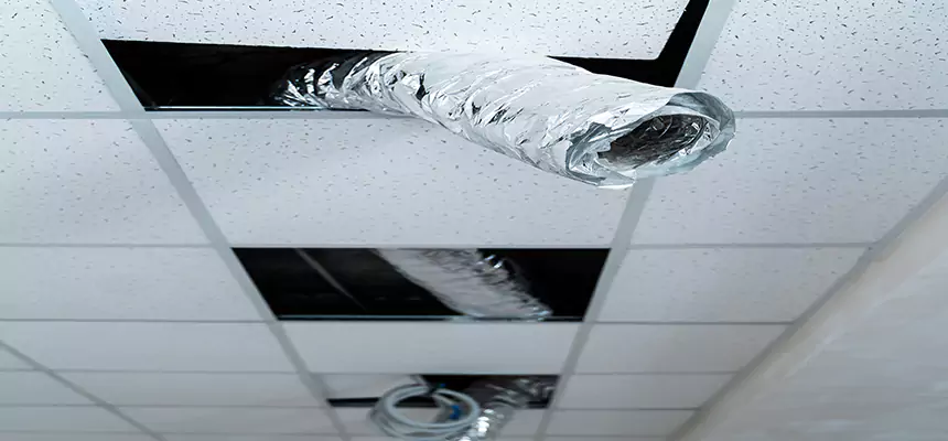 Our Air Duct Pet Hair Removal Services in Roswell, GA