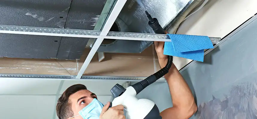 Our Air Duct Rodent Removal Services in Roswell, GA