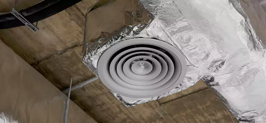 Our Excess Lint Removal from Dryer Ducts Services in Roswell, GA