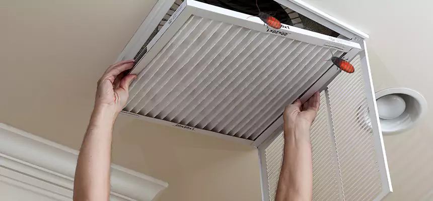 Our Insect Removal from Air Ducts Services in Roswell, GA