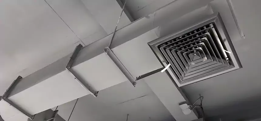 Our Pest Removal From Ducts Services in Roswell, GA