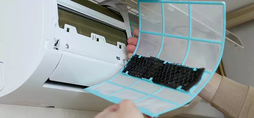 Gentle Ductwork Odor-Control Pet Dander Duct Cleaning in Roswell, GA