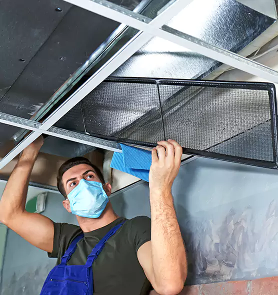 Professional Air Duct Pollen Cleaning in Roswell, GA