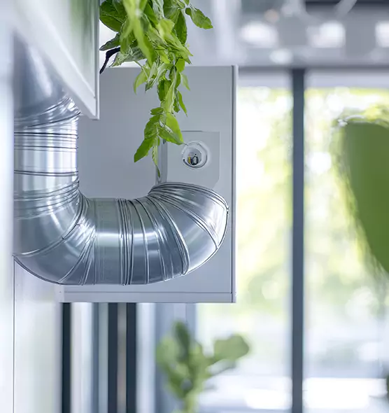 Professional Eco-Safe Dryer Vent Cleaning in Roswell, GA