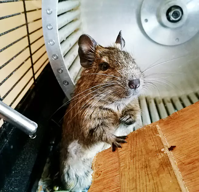 Why Homeowners & Businesses Trust Us Roswell, GA