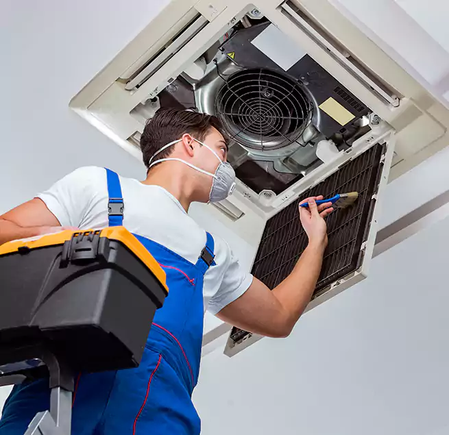 Why Homeowners & Businesses Trust Us in Roswell, GA?