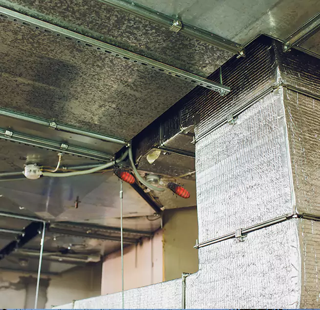 Why Homeowners & Businesses Trust Us Roswell, GA?