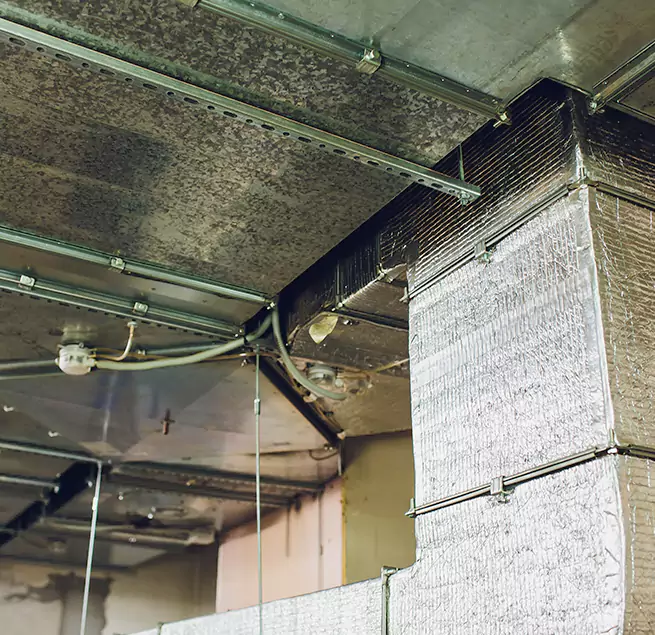 Why Homeowners & Businesses Trust Us in Roswell, GA?